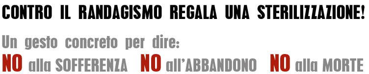 no randagismo no abbandono animali